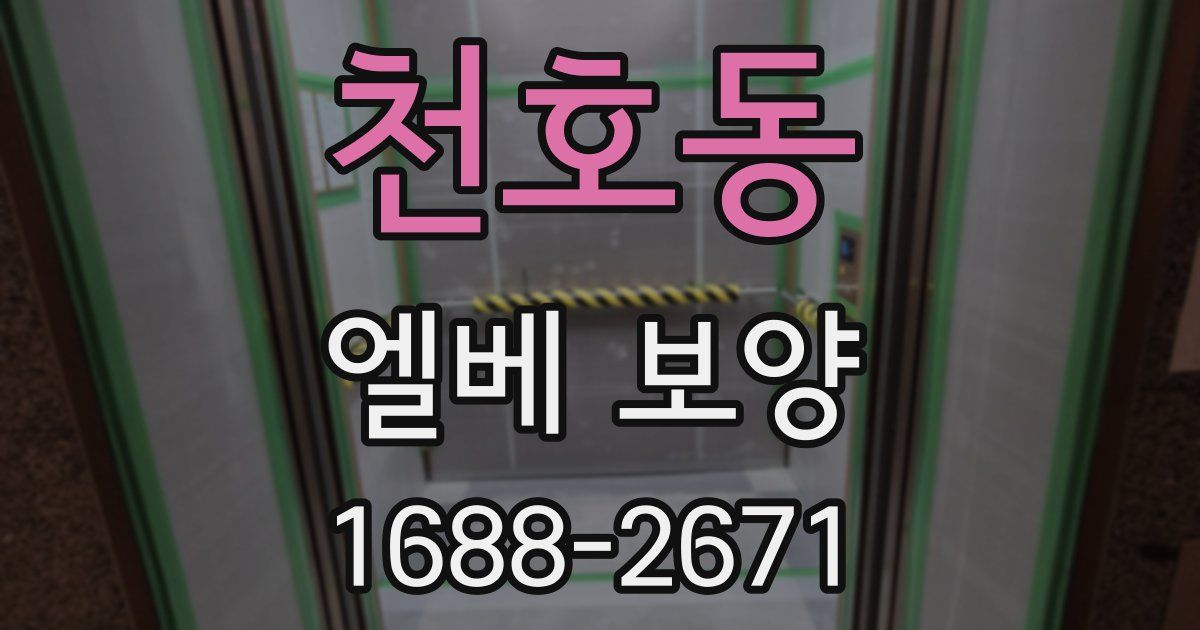 천호동 엘베 보양