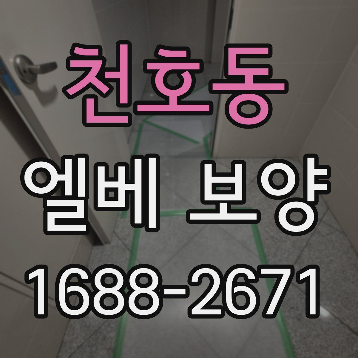천호동 엘베 보양