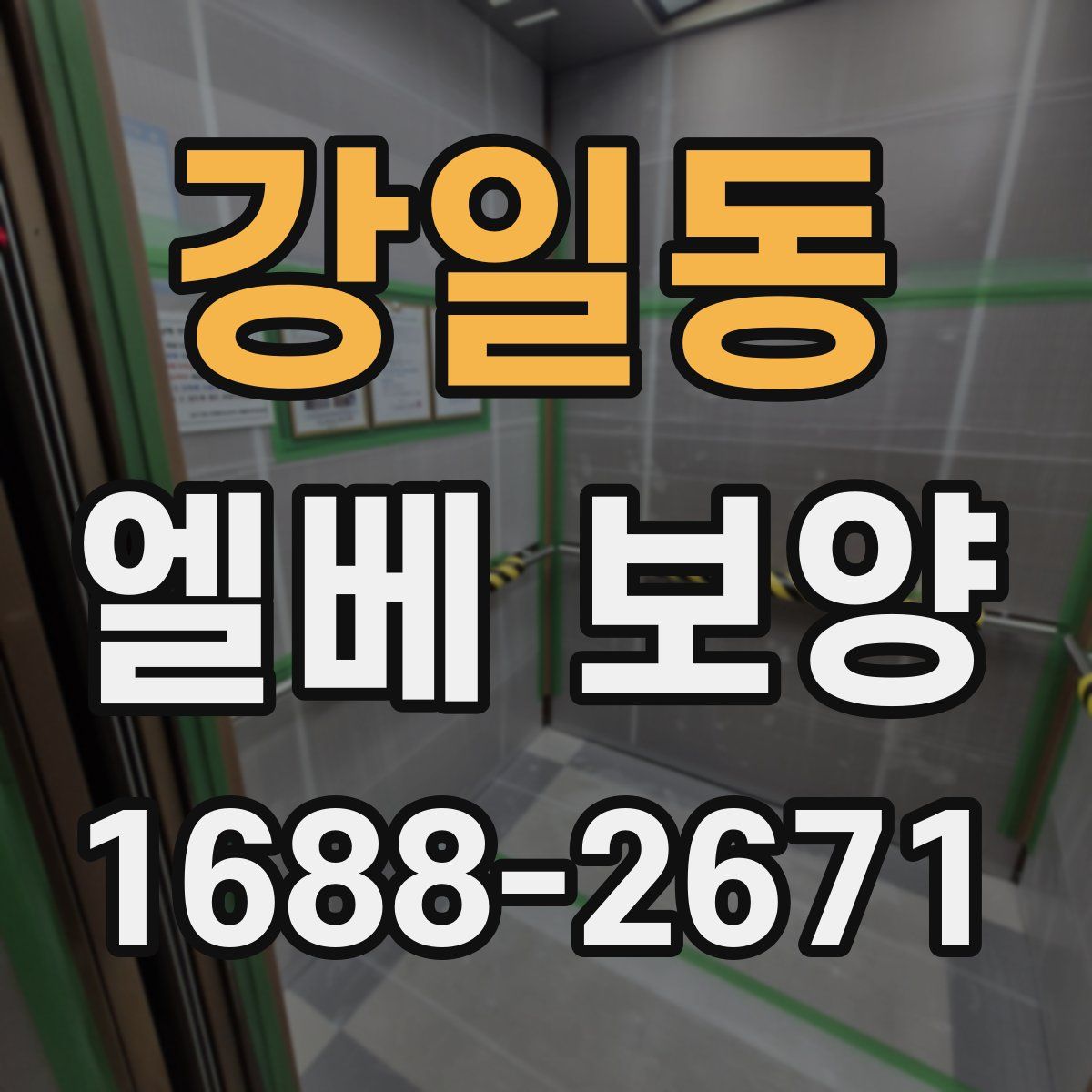 강일동 엘베 보양