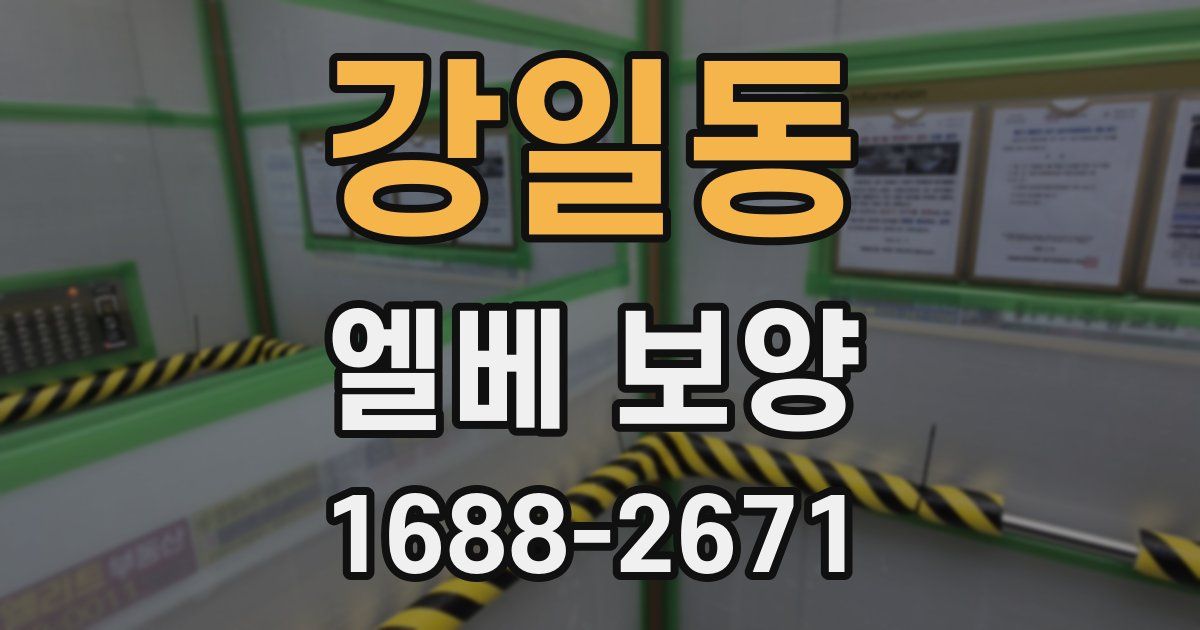 강일동 엘베 보양