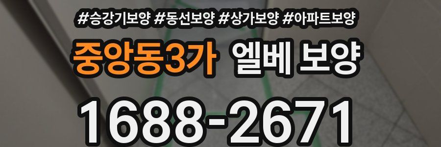 중앙동3가 엘베 보양