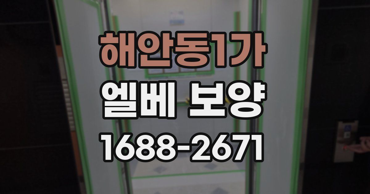 해안동1가 엘베 보양
