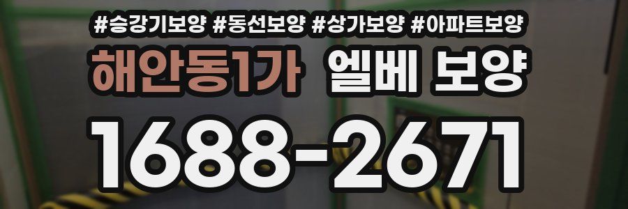 해안동1가 엘베 보양