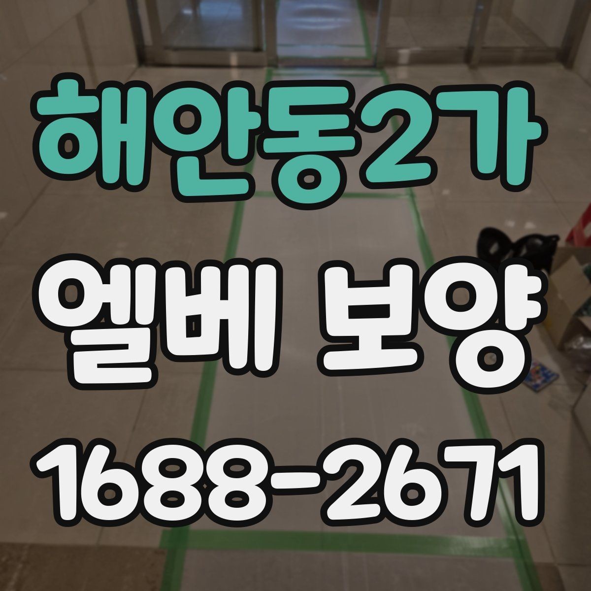 해안동2가 엘베 보양 철거 없이 깔끔하게 마감하려면 챙길 것