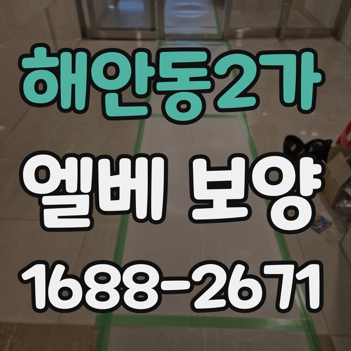 해안동2가 엘베 보양
