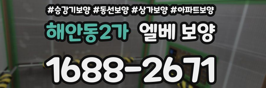 해안동2가 엘베 보양