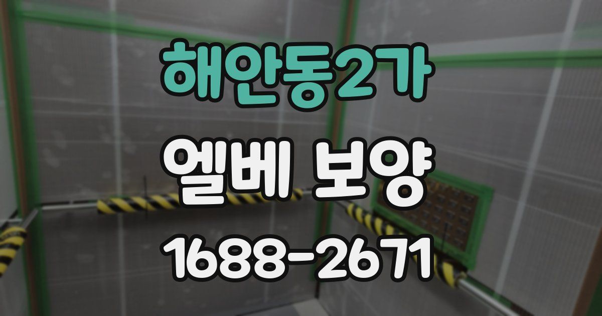 해안동2가 엘베 보양