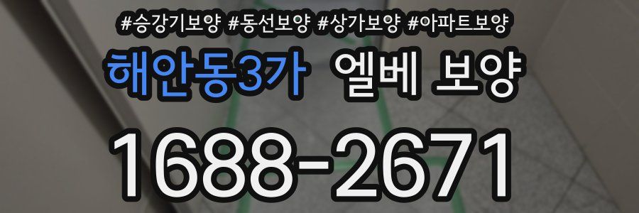 해안동3가 엘베 보양