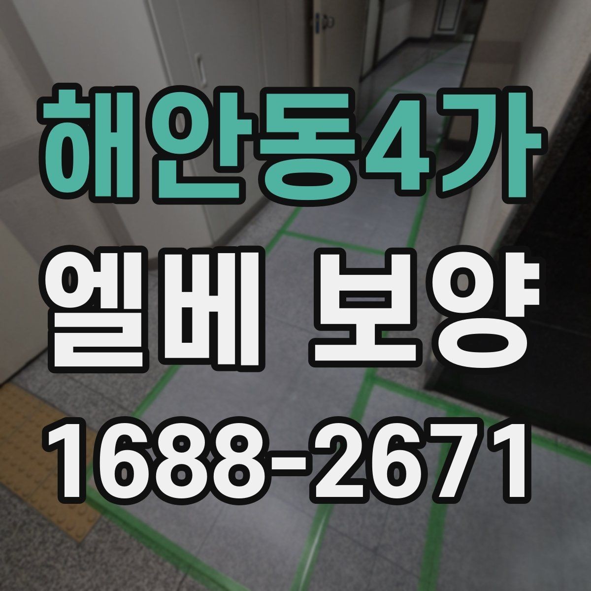 해안동4가 엘베 보양 바닥과 벽면, 거울 자재를 나눠 쓰는 기준