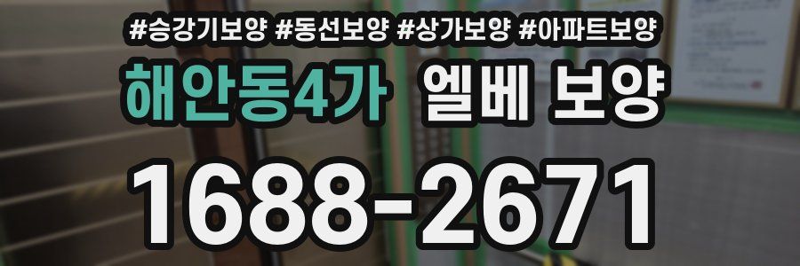 해안동4가 엘베 보양