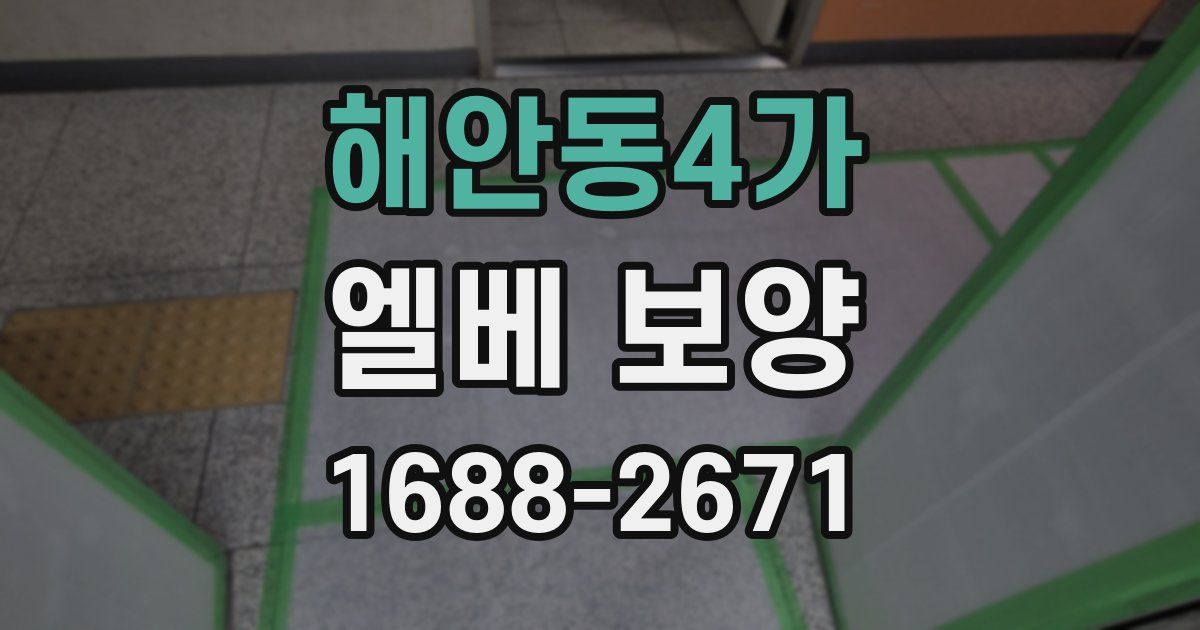 해안동4가 엘베 보양