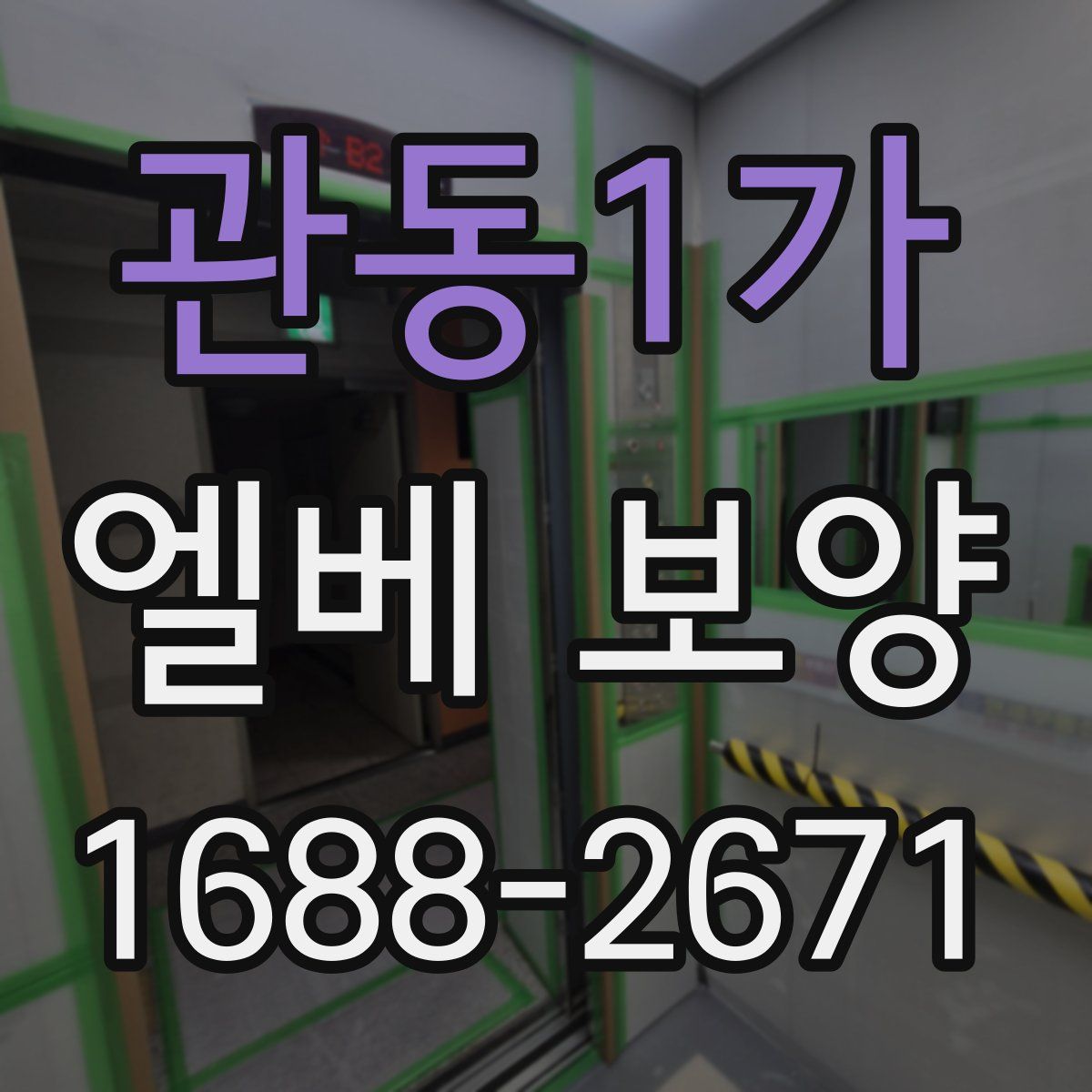 관동1가 엘베 보양