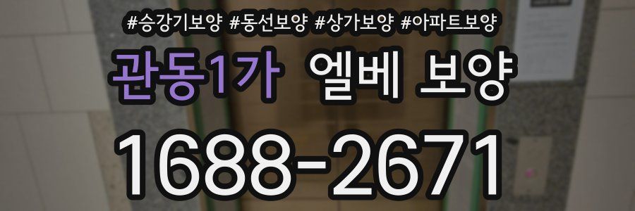 관동1가 엘베 보양