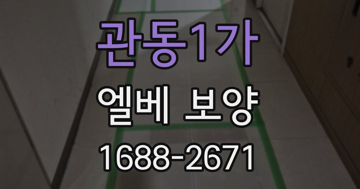 관동1가 엘베 보양