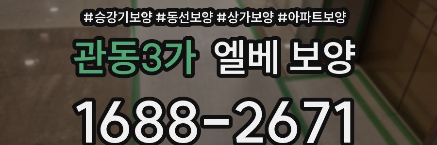 관동3가 엘베 보양