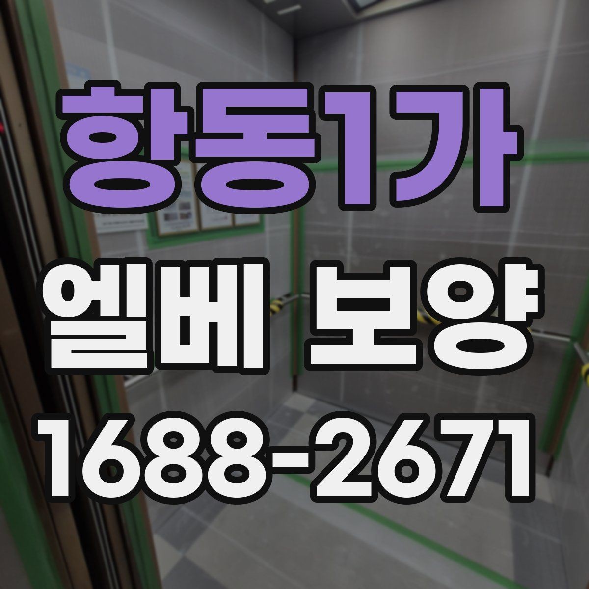 항동1가 엘베 보양 보양재 종류별 쓰임과 현장 선택 기준