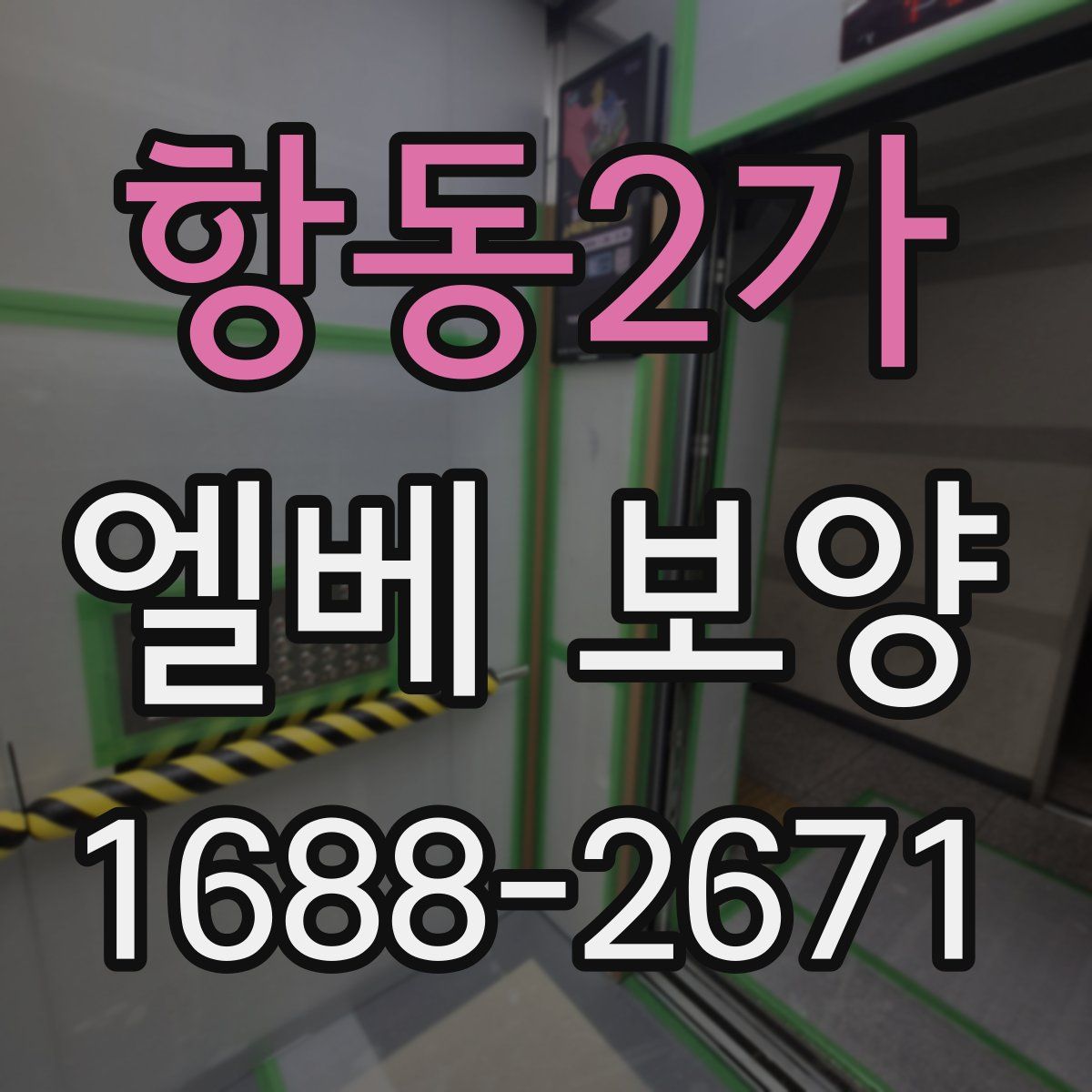 항동2가 엘베 보양