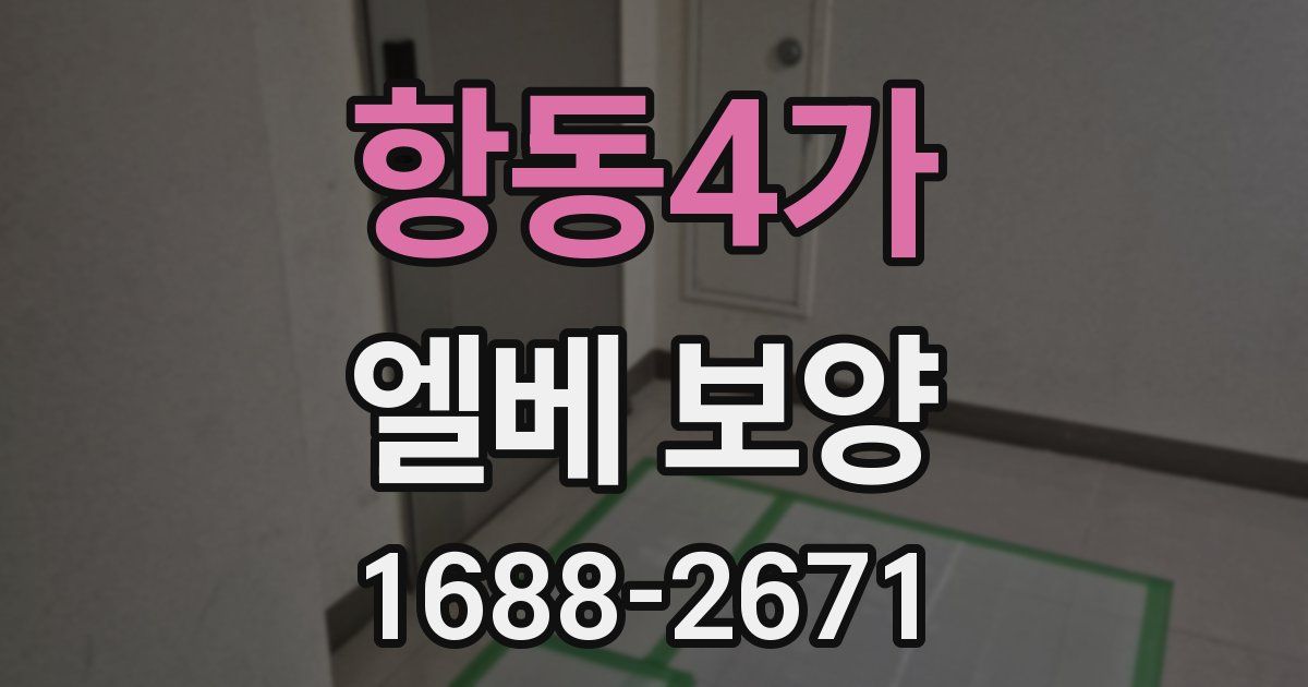 항동4가 엘베 보양
