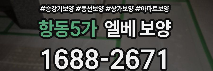 항동5가 엘베 보양
