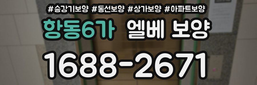 항동6가 엘베 보양