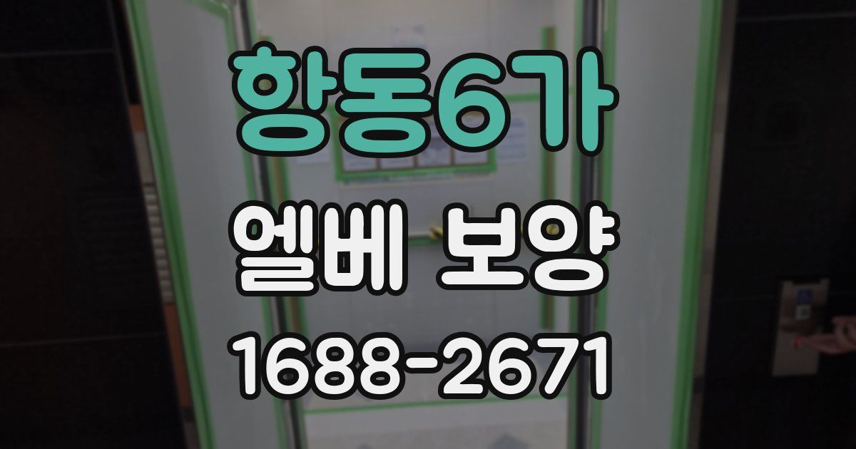 항동6가 엘베 보양