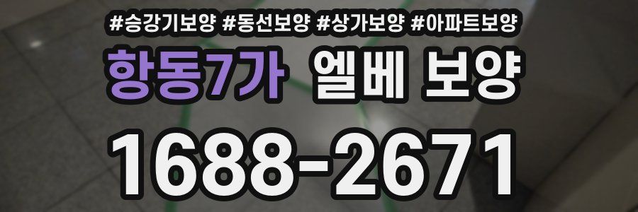 항동7가 엘베 보양