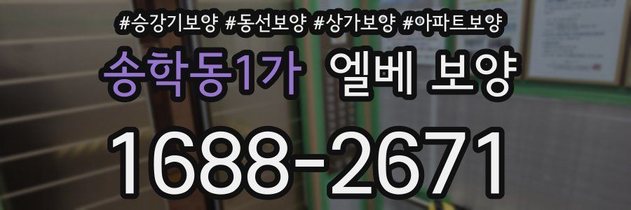 송학동1가 엘베 보양