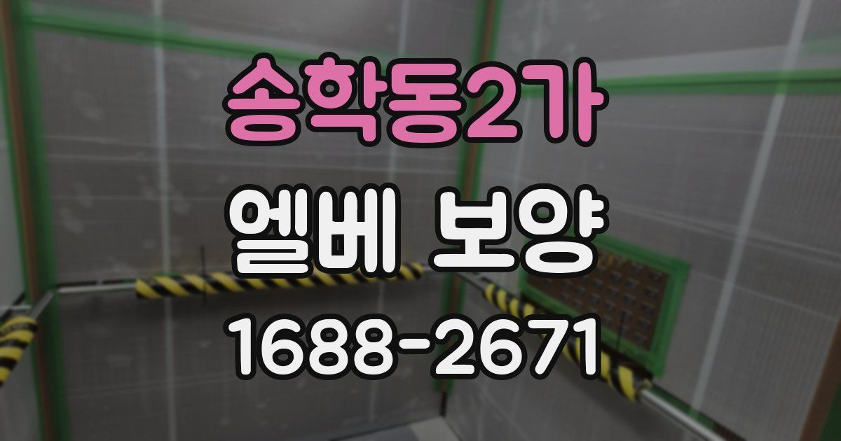 송학동2가 엘베 보양