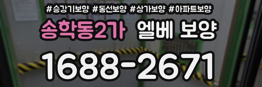 송학동2가 엘베 보양