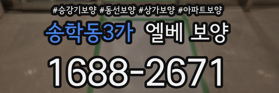 송학동3가 엘베 보양
