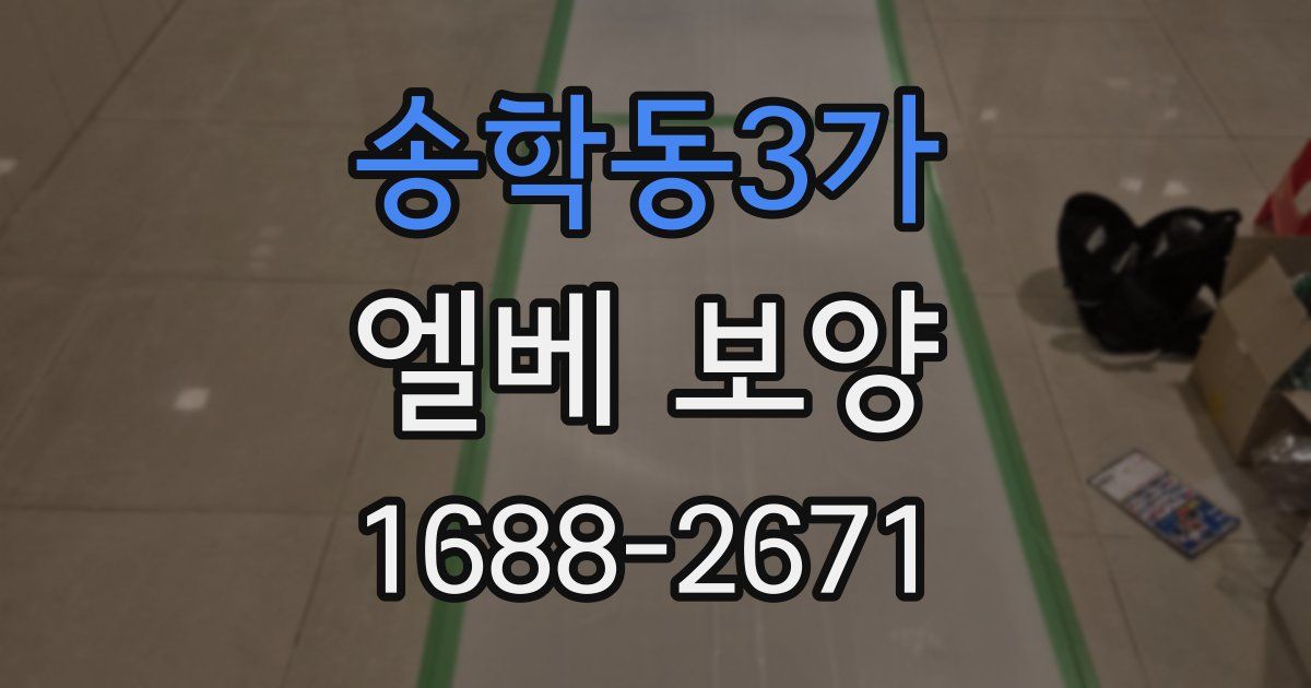 송학동3가 엘베 보양