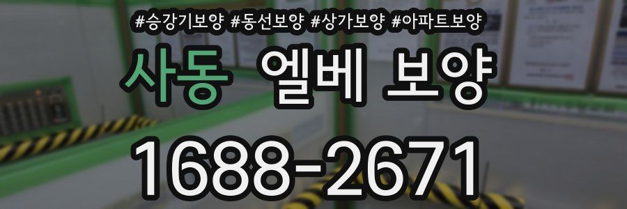 사동 엘베 보양