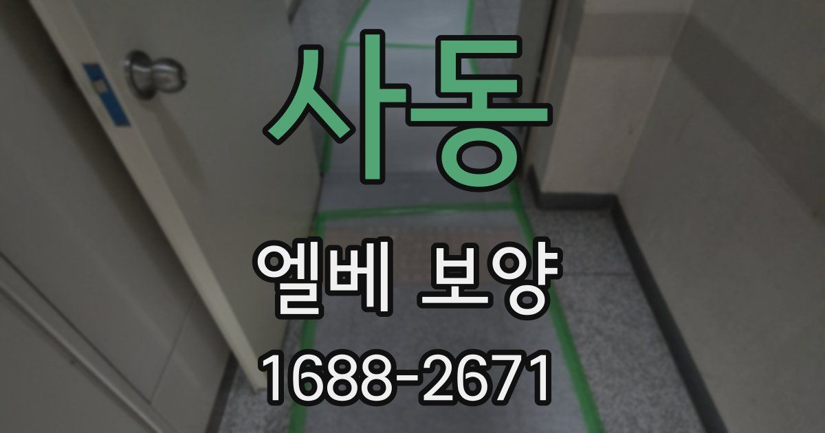 사동 엘베 보양