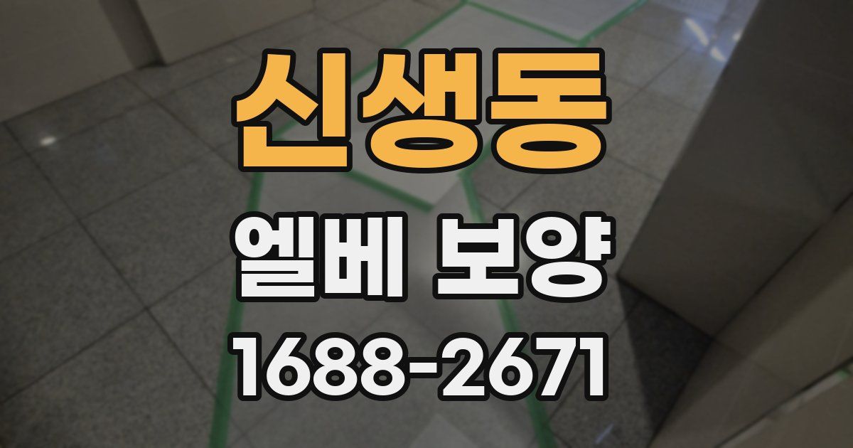 신생동 엘베 보양