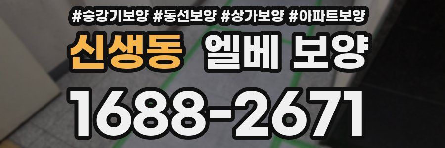 신생동 엘베 보양