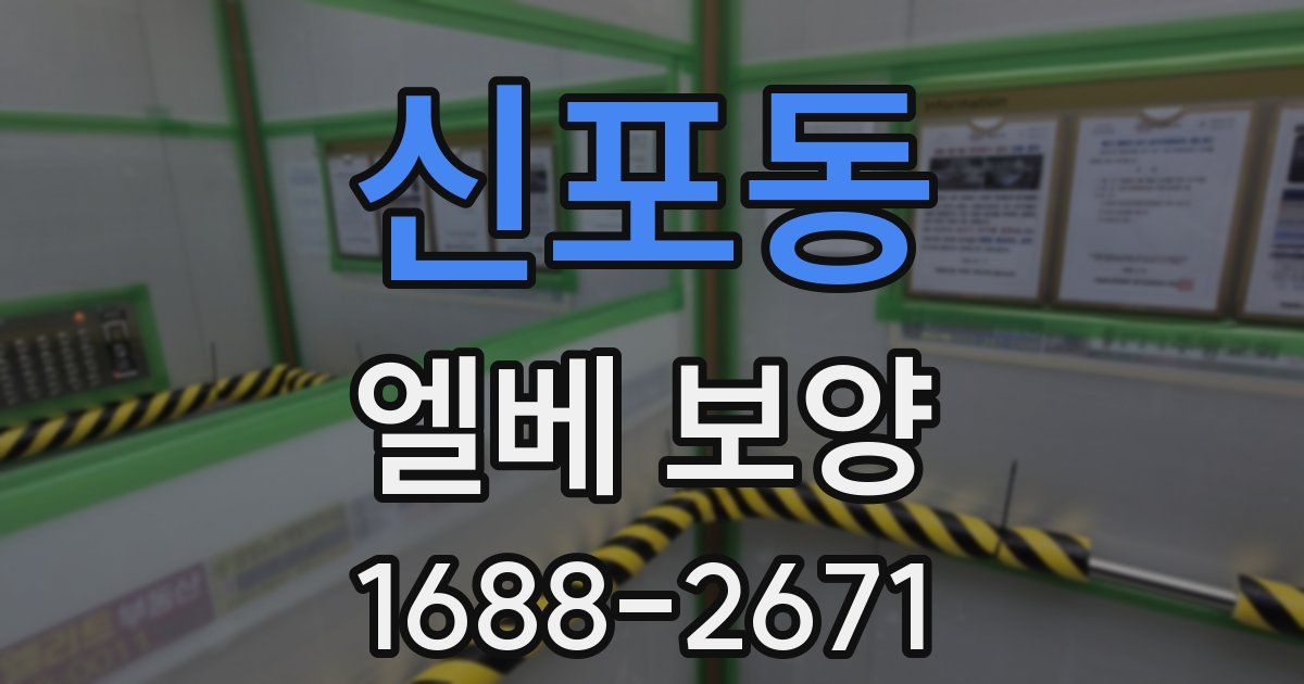 신포동 엘베 보양