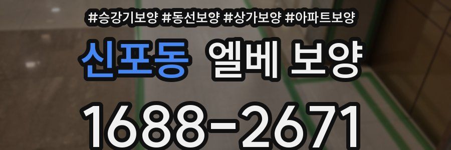 신포동 엘베 보양