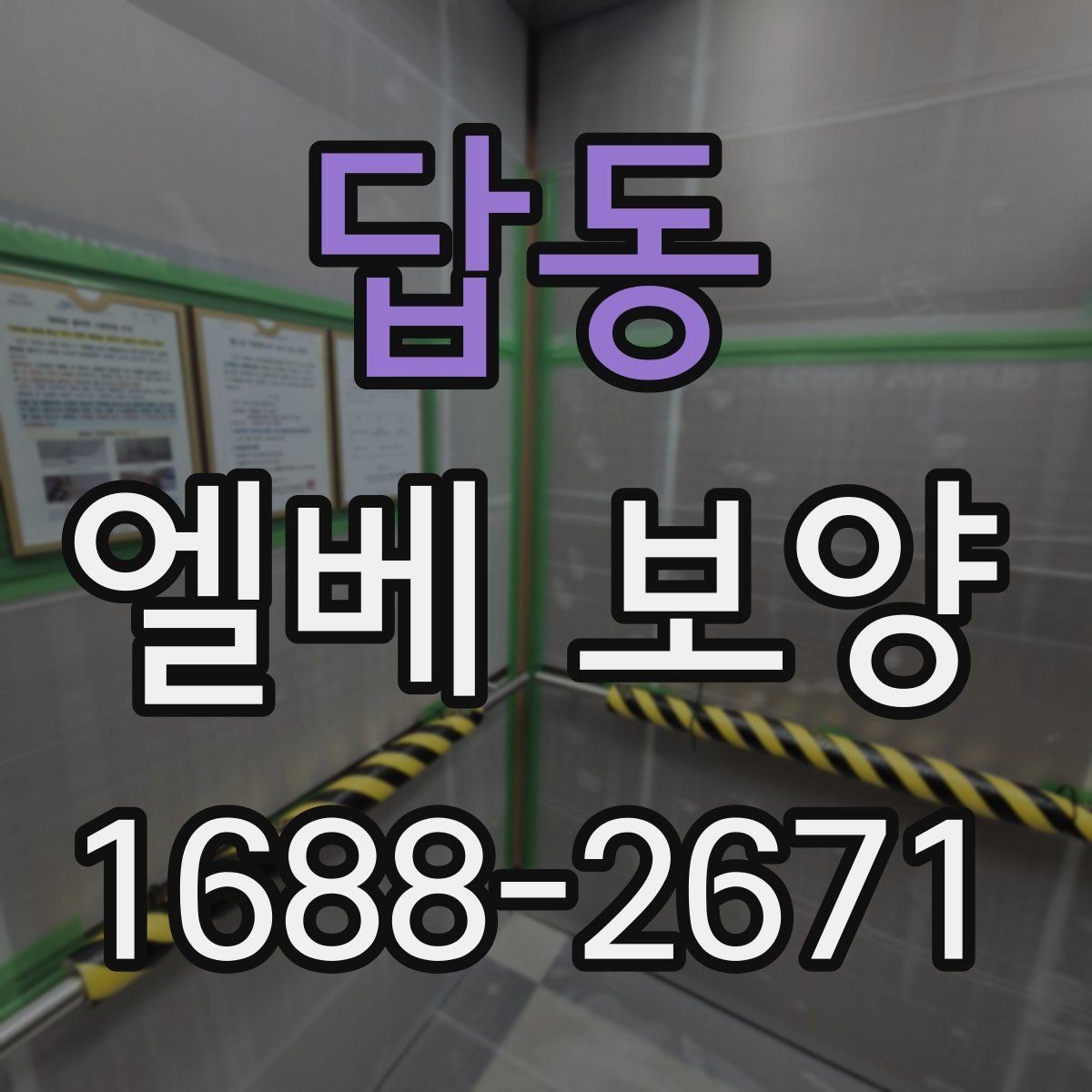 답동 엘베 보양 시트 마감에서 자주 하는 실수와 예방법