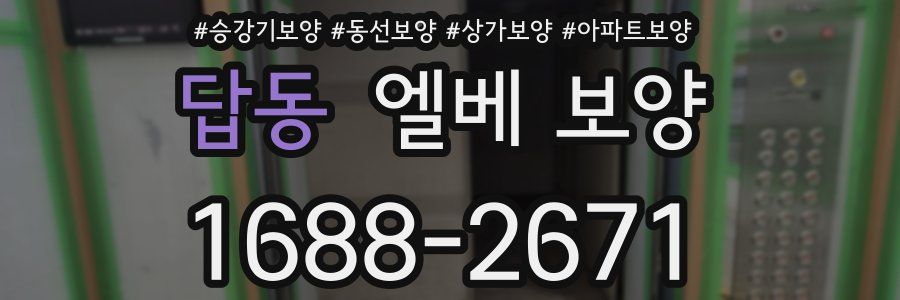 답동 엘베 보양