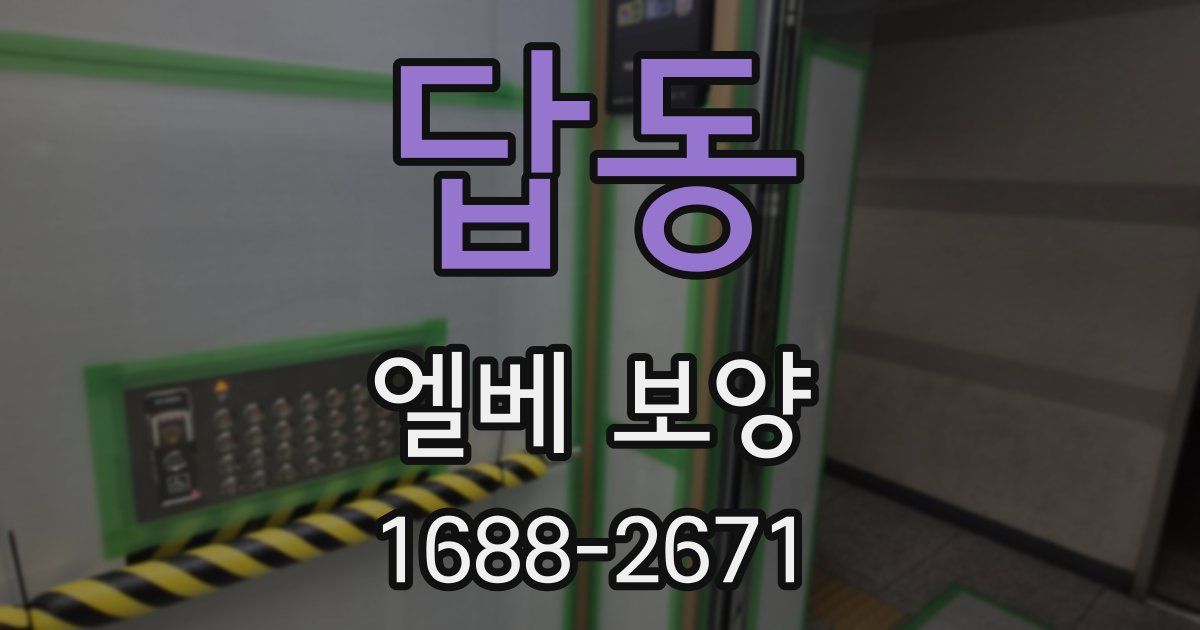 답동 엘베 보양