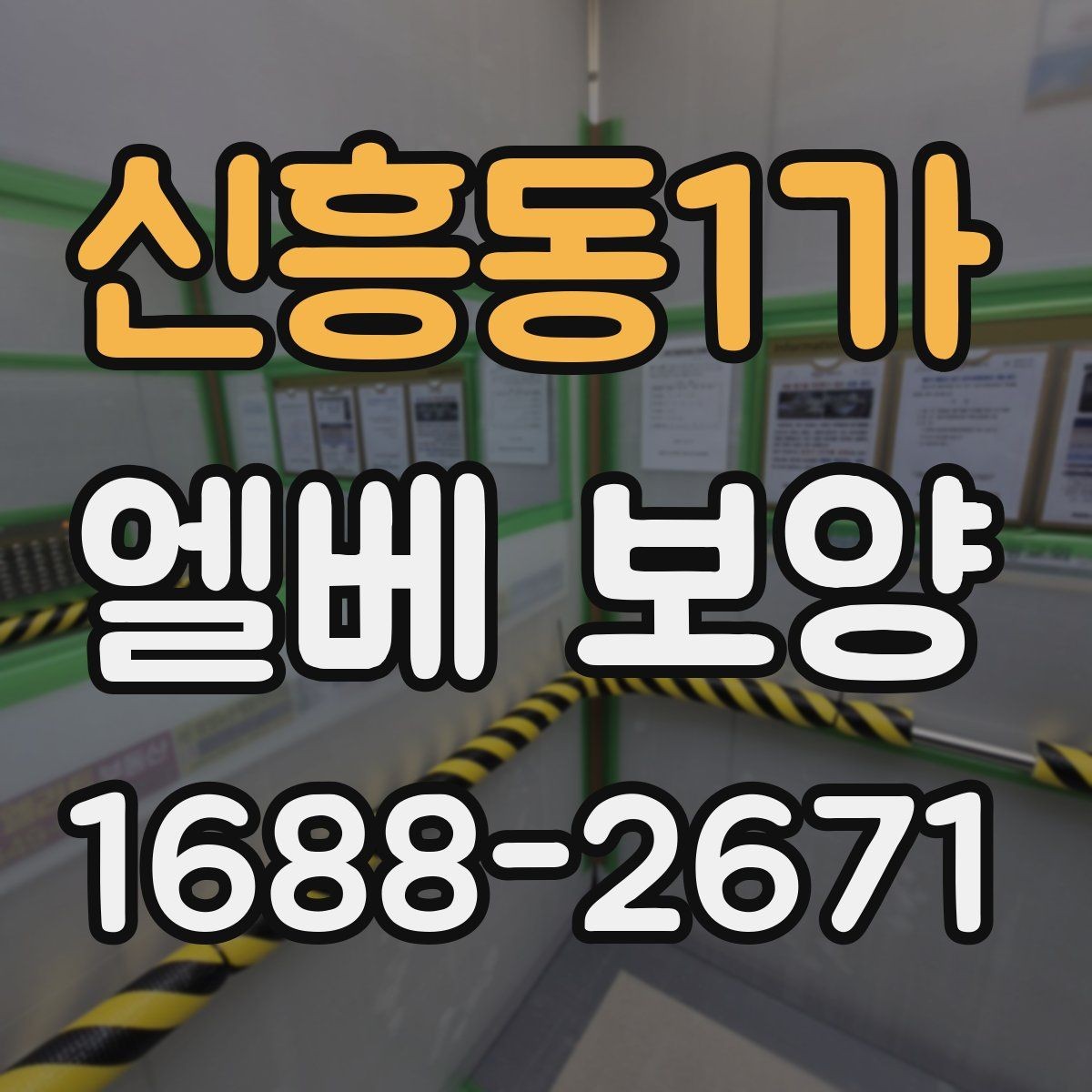 신흥동1가 엘베 보양 문 주변 손상 줄이려면 마감부터 살펴야 하는 이유