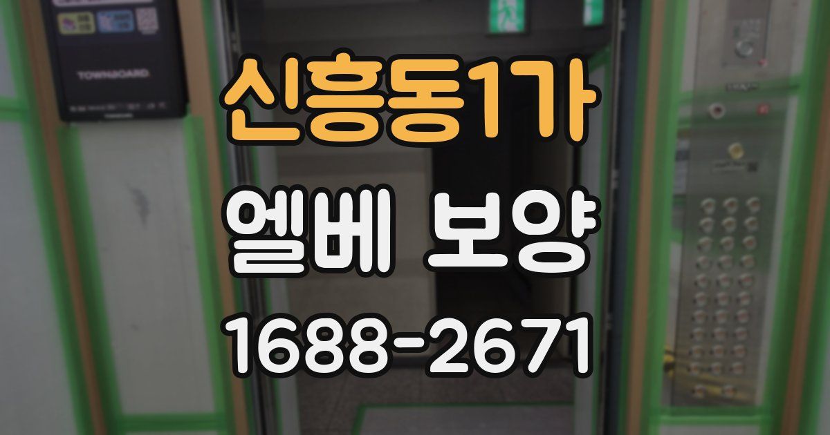 신흥동1가 엘베 보양