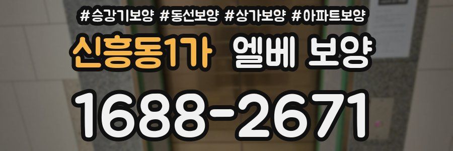 신흥동1가 엘베 보양