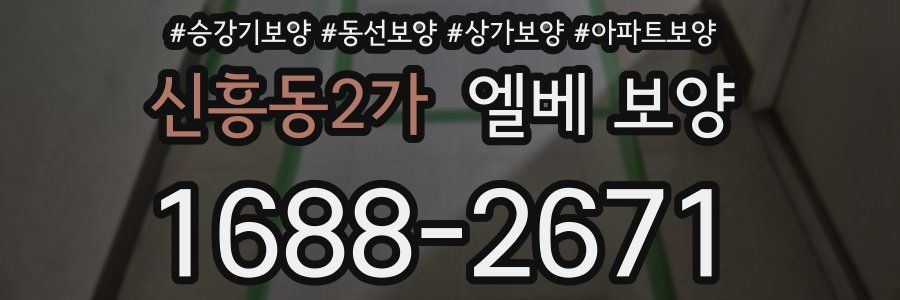 신흥동2가 엘베 보양