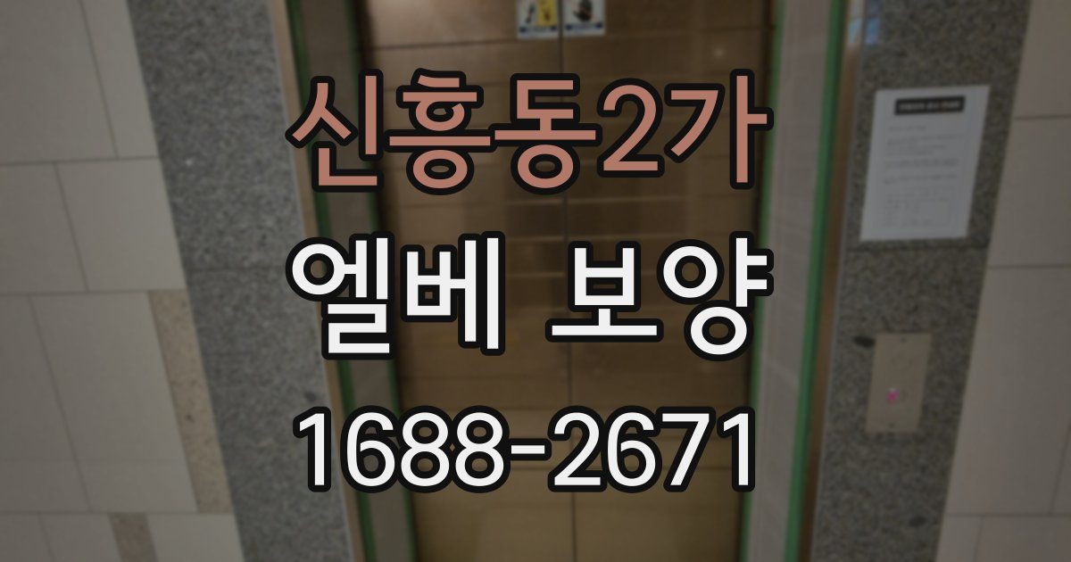 신흥동2가 엘베 보양