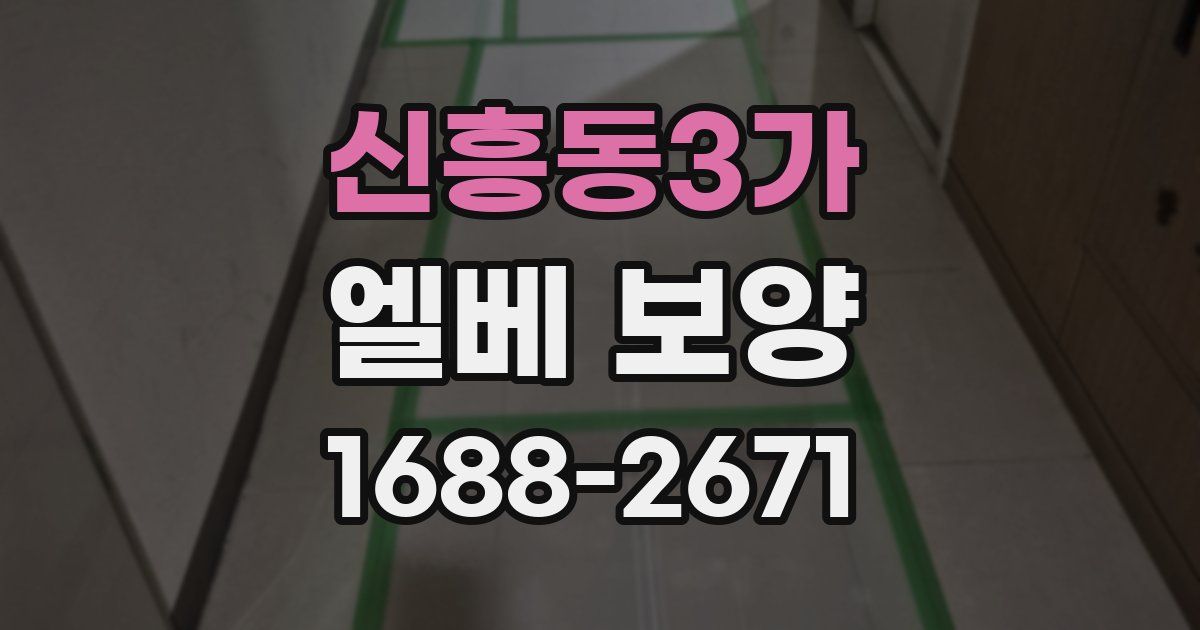 신흥동3가 엘베 보양