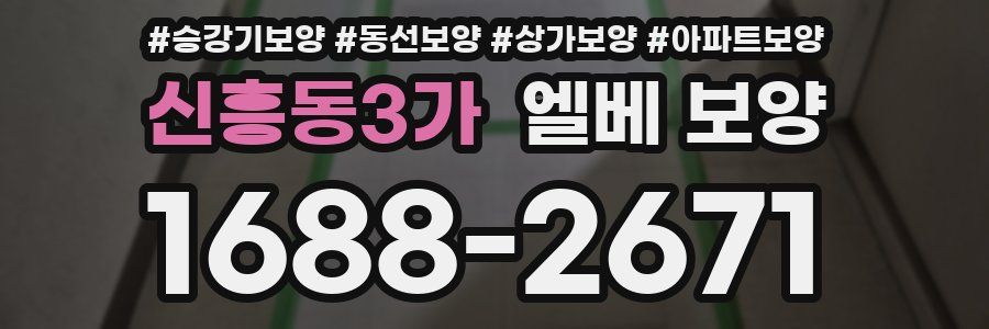 신흥동3가 엘베 보양