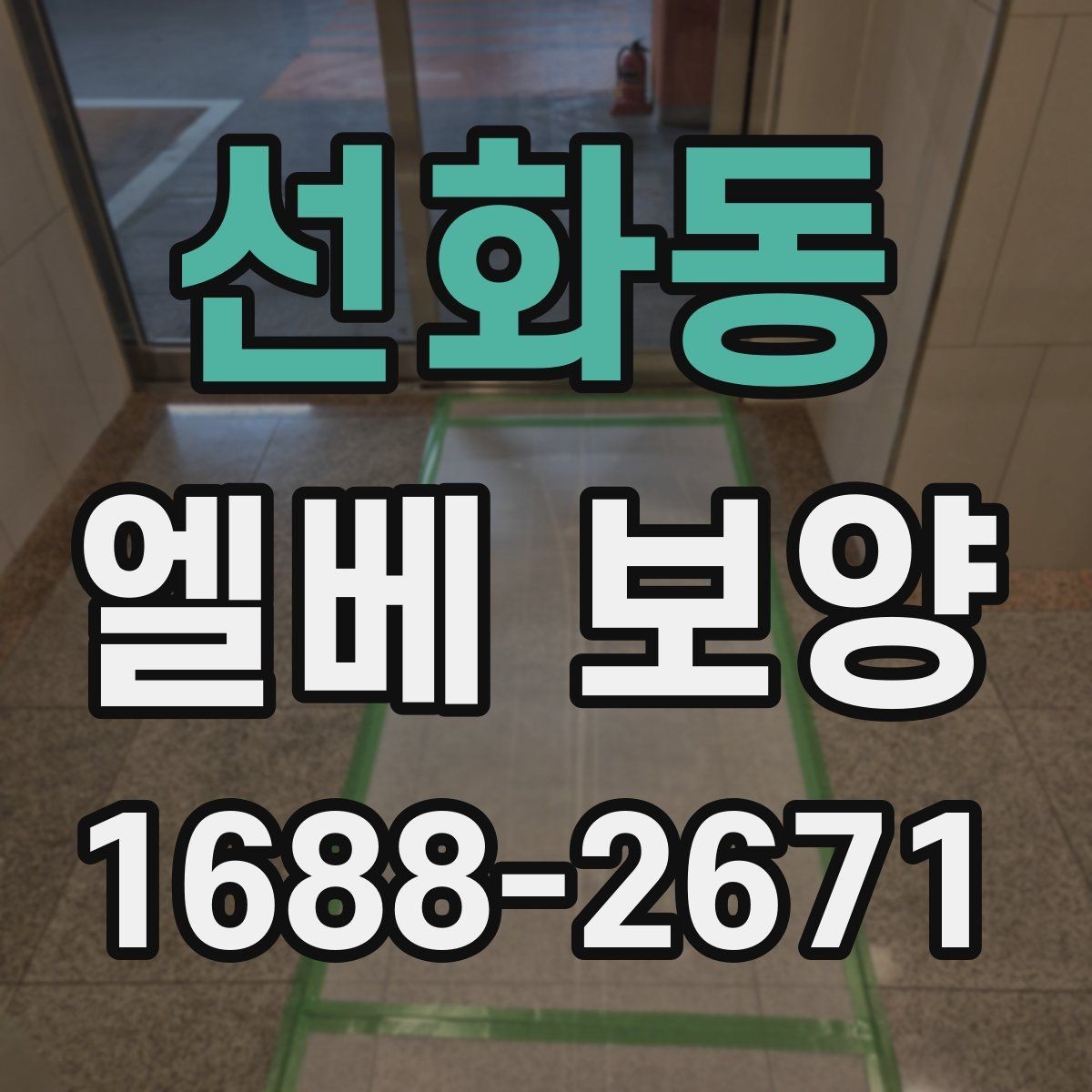 선화동 엘베 보양 실내 인테리어와 승강기 보호를 함께 잡는 법