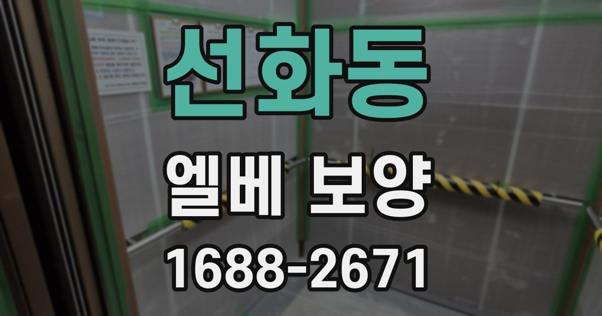 선화동 엘베 보양