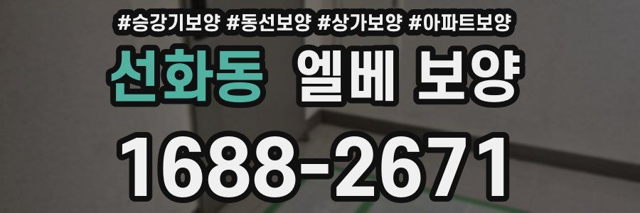 선화동 엘베 보양